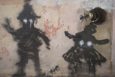 MDZol | Foto: Ulises Naranjo / MDZ.