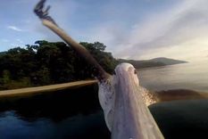 camara gopro registra como un pelicano aprende a volar camara gopro registra como un pelicano aprende a volar