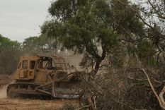 Foto: web.Refaf.org.ar