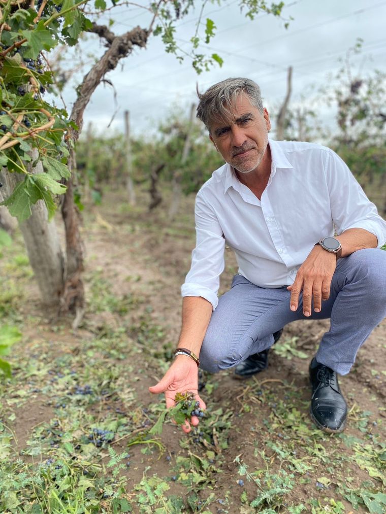 Mario Vadillo, candidato a gobernador, por el partido verde.Foto: Mario Vadillo.