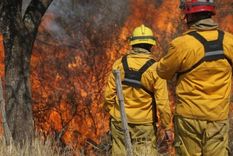 El autor material de los incendios forestales fue condenado a prisión El autor material de los incendios forestales fue condenado a prisión