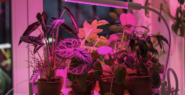 Una forma sencilla para utilizar la ciencia a tu favor Foto: Shutterstock