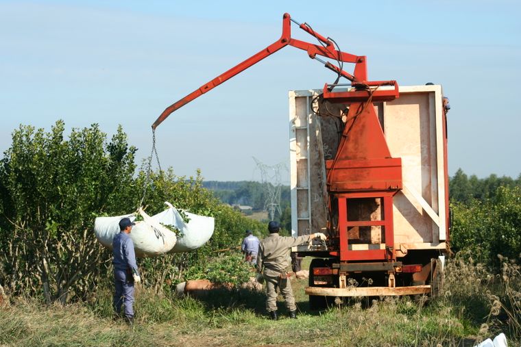 Los productores yerbateros de Misiones reclaman la recuperación de las funciones del Instituto Nacional de la Yerba Mate para sostener una actividad vital en la provincia.