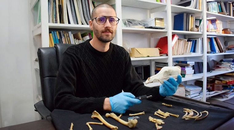 Lucio González Venanzi, uno de los científicos a cargo del estudio revela que los perros domésticos se introdujeron al sur del continente entre 5.000 y 7.000 años atrás.