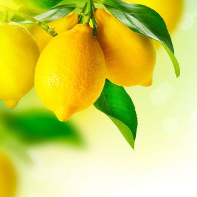 120 ml de jugo de limón (para la crema)