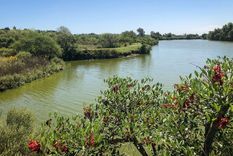 Estos sitios son ideales para conectar con la naturaleza Foto: Ruta Natural