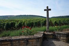 Un lugar único para el vino