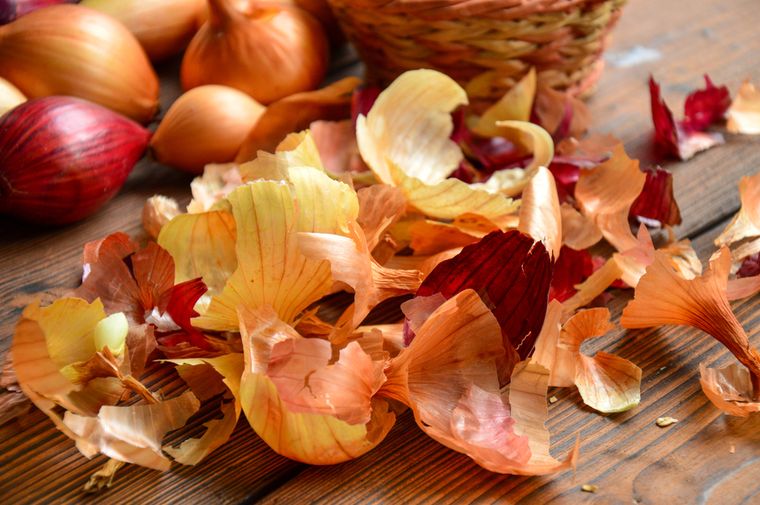 La cáscara de cebolla sirve como repelente natural contra plagas en el jardín. Foto: Shutterstock