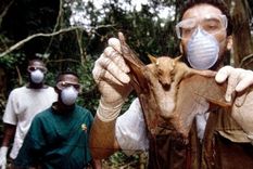 cientificos ante la tormenta perfecta para la aparicion de nuevas enfermedades