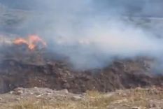 Foto: Captura de video Foto: Captura de video