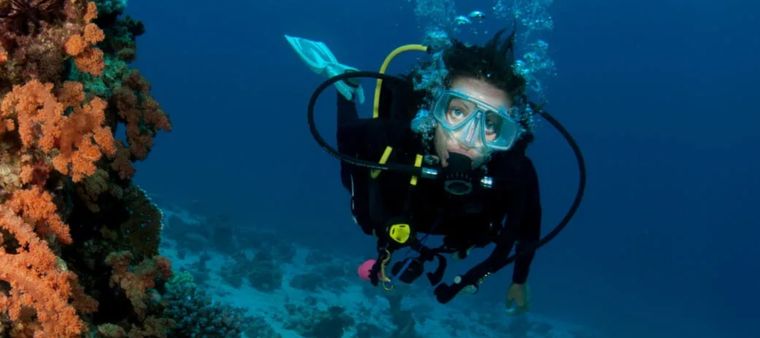 En Los Cabos está Cabo Pulmo, el lugar donde se encuentra el acuario del mundo.&nbsp;