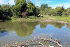 La nena cayó a una represa mientras su madre trabajaba y fue hallada cuando ya no tenía signos vitales