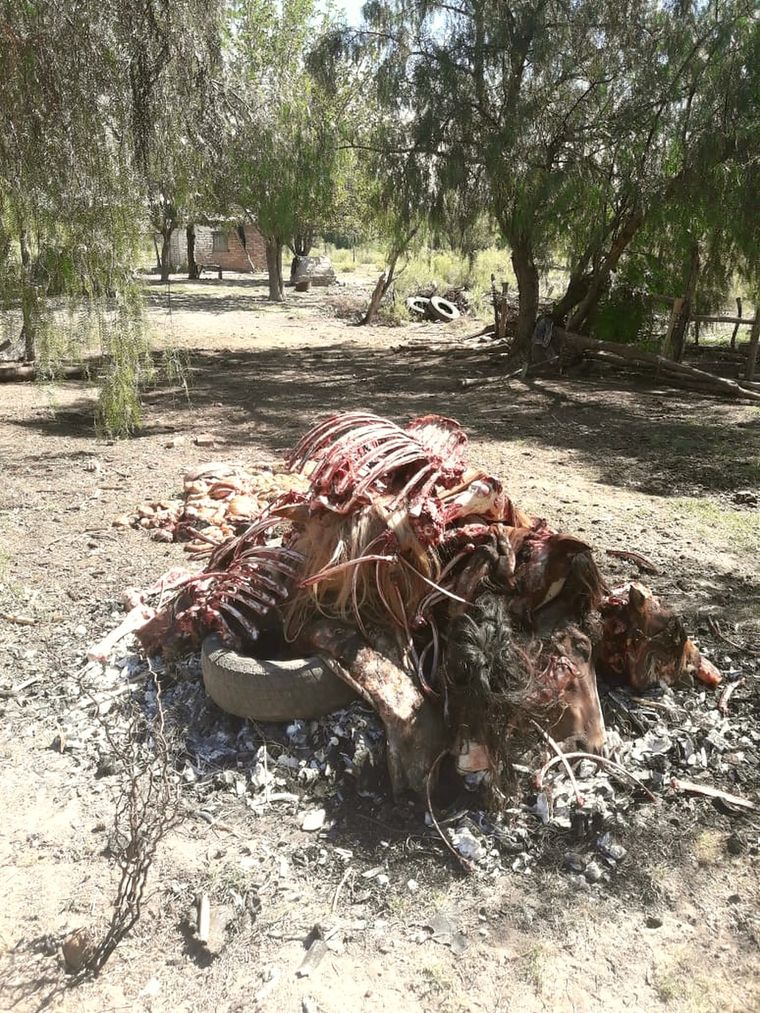 Desastre Una de las imágenes que tomaron los efectivos en el matadero.