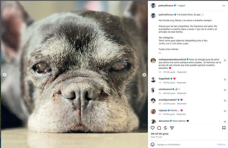 La despedida del canino en redes. La despedida del canino en redes.