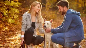 Es hora de invitar a los jóvenes a bajarse del cochecito del perro y a animarse a tomar la mano de un hijo. Es hora de invitar a los jóvenes a bajarse del cochecito del perro y a animarse a tomar la mano de un hijo.
