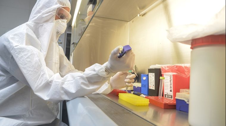 Foto: Gobierno de Mendoza