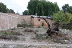 Foto: Alf Ponce / MDZ