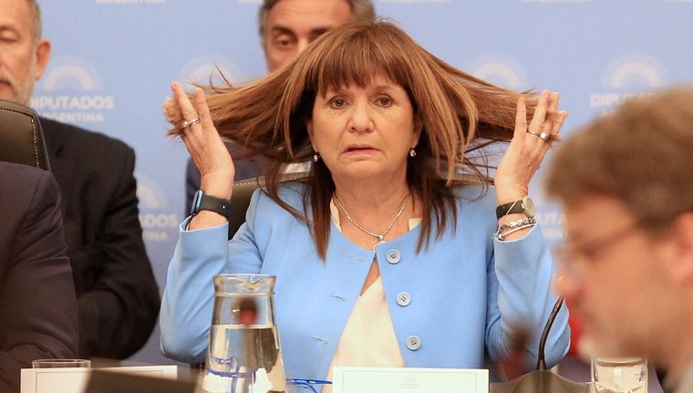 Bullrich habló sobre la situación de Chubut y le dio un consejo a Torres Foto: NA