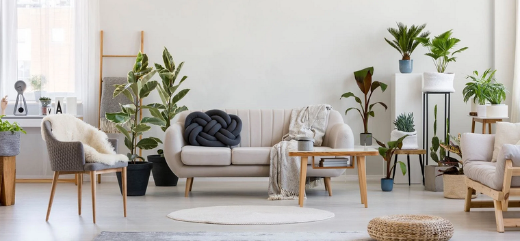 Foto: Mashvisor -  https://www.mashvisor.com/blog/decorating-airbnb/