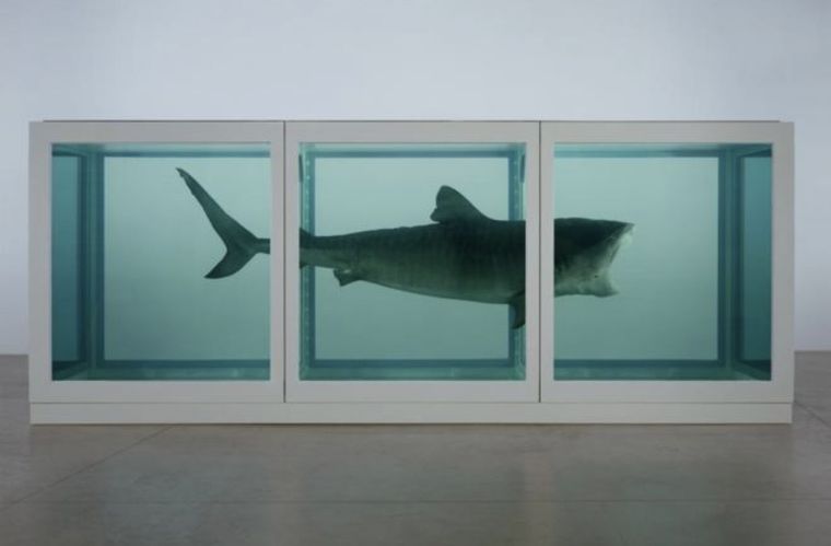 Damien Hirst, “The physical impossibility of death in the mind of someone living. Damien Hirst, “The physical impossibility of death in the mind of someone living.