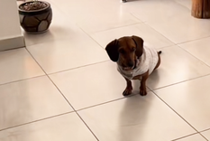 Tips de limpieza Hogar limpio en cuestión de segundos. Foto: Fuente: imagen - tiktok - @valbarrales