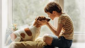 Algunas razas de perros son más pacientes y sociables con niños que otras. Foto: Shutterstock Algunas razas de perros son más pacientes y sociables con niños que otras. Foto: Shutterstock