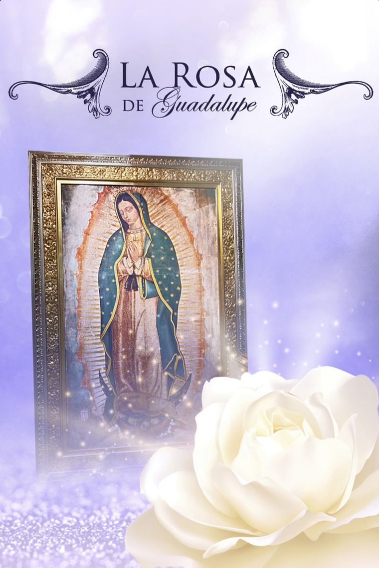 RATING. La Rosa de Guadalupe