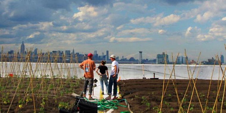Un grupo de horticultores de cara a New York. Foto: cukmi