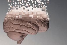 El cerebro humano sufre una radical configuración a partir de los 40 años. Foto: GETTY IMAGES