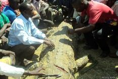 el hombre que se vengo del cocodrilo que devoro a su esposa