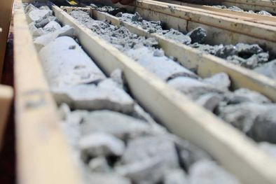 MDZol | 1313611.jpeg