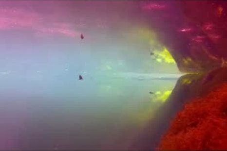 Fondo de la Laguna de la Niña Encantada. Print de pantalla de uno de los videos pertenecientes a Buceo Aconcagua. Fondo de la Laguna de la Niña Encantada. Print de pantalla de uno de los videos pertenecientes a Buceo Aconcagua.