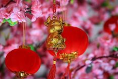 el 12 de febrero llega el ano nuevo chino y comienza la era del buey de metal: ¿que pasara en este ciclo?