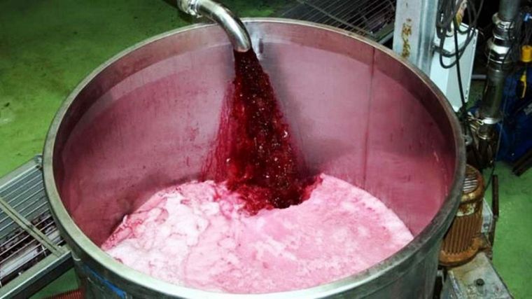 Chile vende casi siete veces más vino a granel que Argentina.&nbsp; &nbsp;