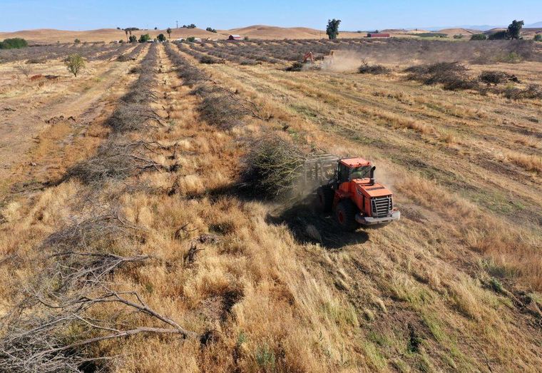 El Niño causa lluvias extremas en algunas regiones del mundo, pero también sequías en otras.