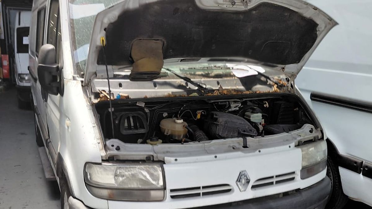 PAMI subasta trece camionetas: cuándo será el remate y cómo participar