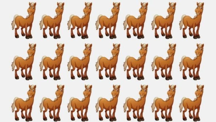 ACERTIJO VISUAL ACERTIJO VISUAL, RETO VISUAL, CABALLO Foto: ARCHIVO