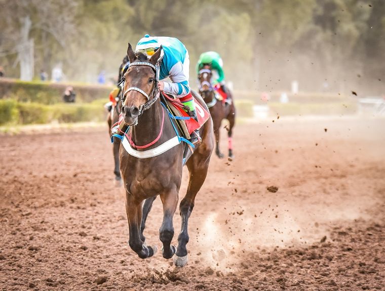 La buena de Oriental Beaty estará en una de las carreras importantes de la reunión (Foto gentileza José Maluf).