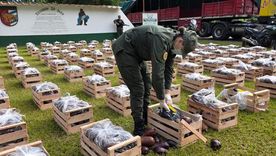 FOTO: Salta: intentaban traficar más de 31 kilos de cocaína ocultos en cajones con berenjenasMás de 31 kilos de cocaína que iban ocultos en cajones de berenjenas fueron decomisados por efectivos de Gendarmería Nacional en la ciudad salteña de Pichanal, prrovincia de Salta.