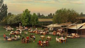 Una imagen de una increíble jornada en Susana Blabo Wines.