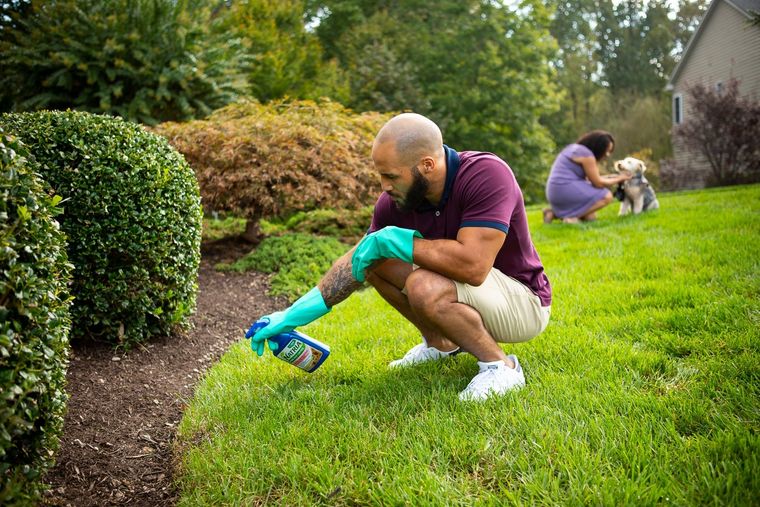 Foto: Kingstowne & Lawn Landscape (kingstownelawn.com)