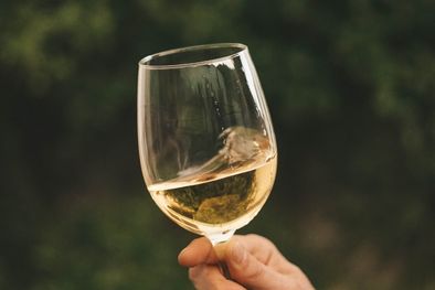 MDZol | Chardonnay: un vino delicioso.