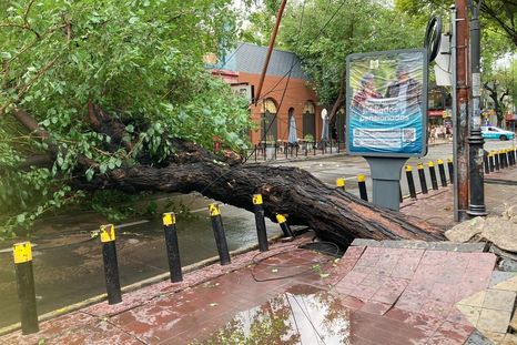 Equipos municipales trabajaron para restablecer la circulación y reducir riesgos en la vía pública. Equipos municipales trabajaron para restablecer la circulación y reducir riesgos en la vía pública.