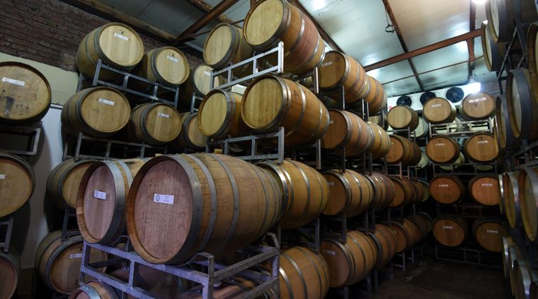 El sector bodeguero destacó la decisión de eliminar las retenciones a las exportaciones regionales, pero puso el foco en el impacto de otros tributos distorsivos, como el impuesto PAIS. Foto: ALF PONCE MERCADO / MDZ