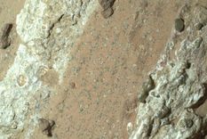 Las rocas están cubiertas de marcas inusuales que parecen manchas de leopardo. Las rocas están cubiertas de marcas inusuales que parecen manchas de leopardo.