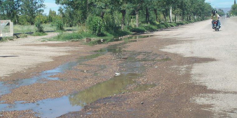 Foto: Marcelo Schmitt/Mediamza.com