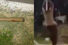 El asesinato quedó grabado en video. El asesinato quedó grabado en video.