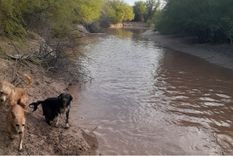 El agua recorre el secano, tras una década de sequía. Foto: Comunidad huarpe Lagunas del Rosario El agua recorre el secano, tras una década de sequía. Foto: Comunidad huarpe Lagunas del Rosario
