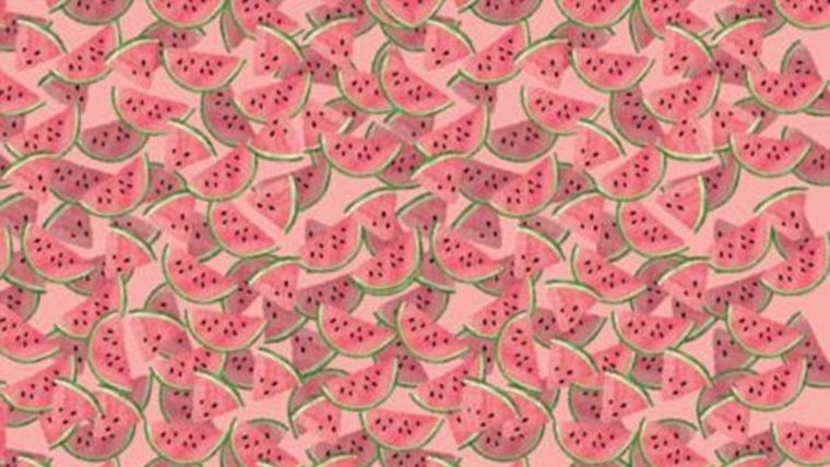 Acertijo visual, reto visual, tutú Pinterest Foto: Archivo MDZ