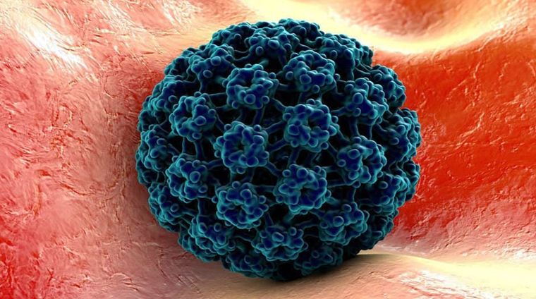 Foto: curiositemujer.com